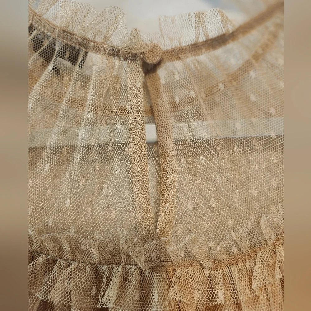J. Crew Vintage Inspired Ruffle Collar Mesh Blouse In Antique Camel Size Medium - Picture 6 of 8